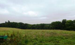 Terrain  28430 m² à vendre à Plouray (56770)