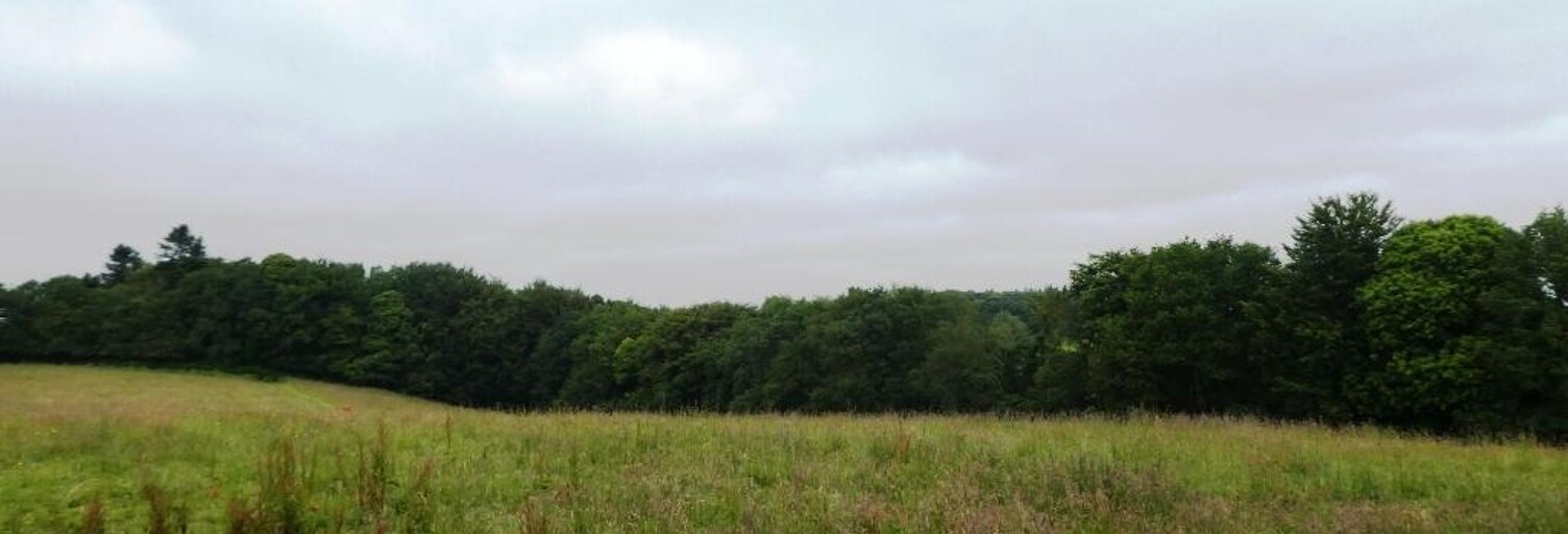 Terrain  28430 m² à vendre à Plouray (56770)