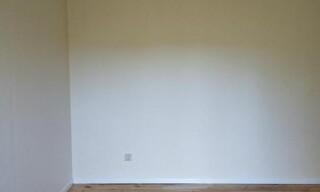 Photo N° 4