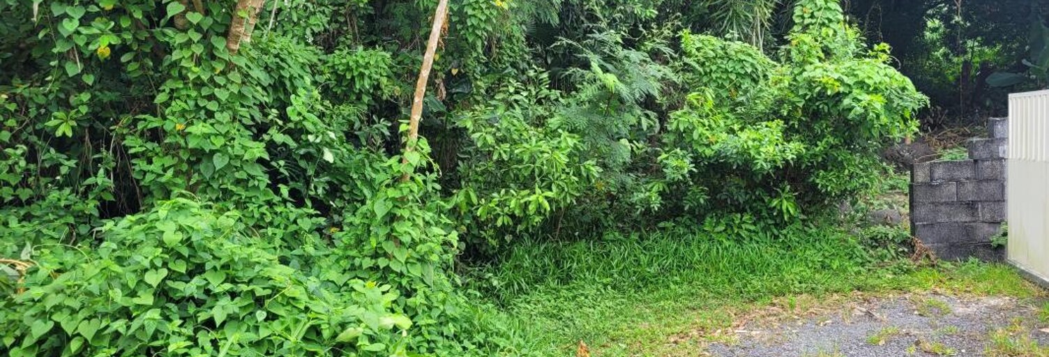 Terrain   m² à vendre à Saint-Benoît (97437)