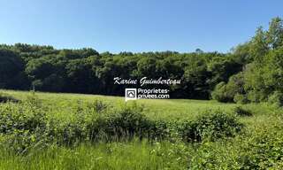 Maison 5 Pièces 145 m² à vendre à Bayas (33230)