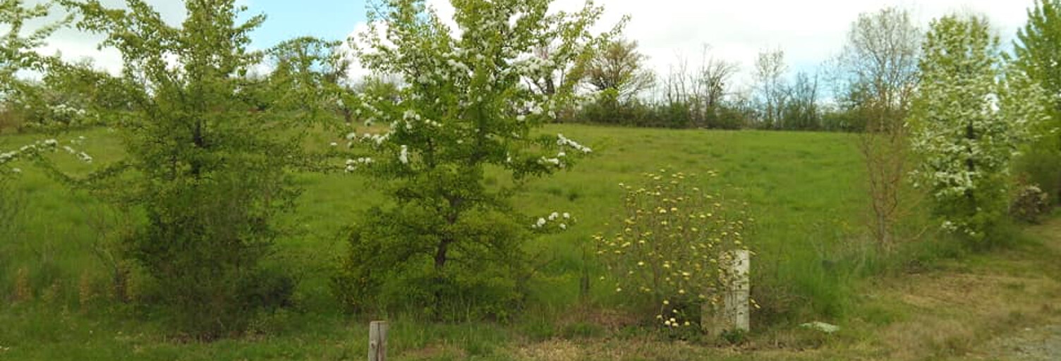 Terrain  1409 m² à vendre à Fleurance (32500)