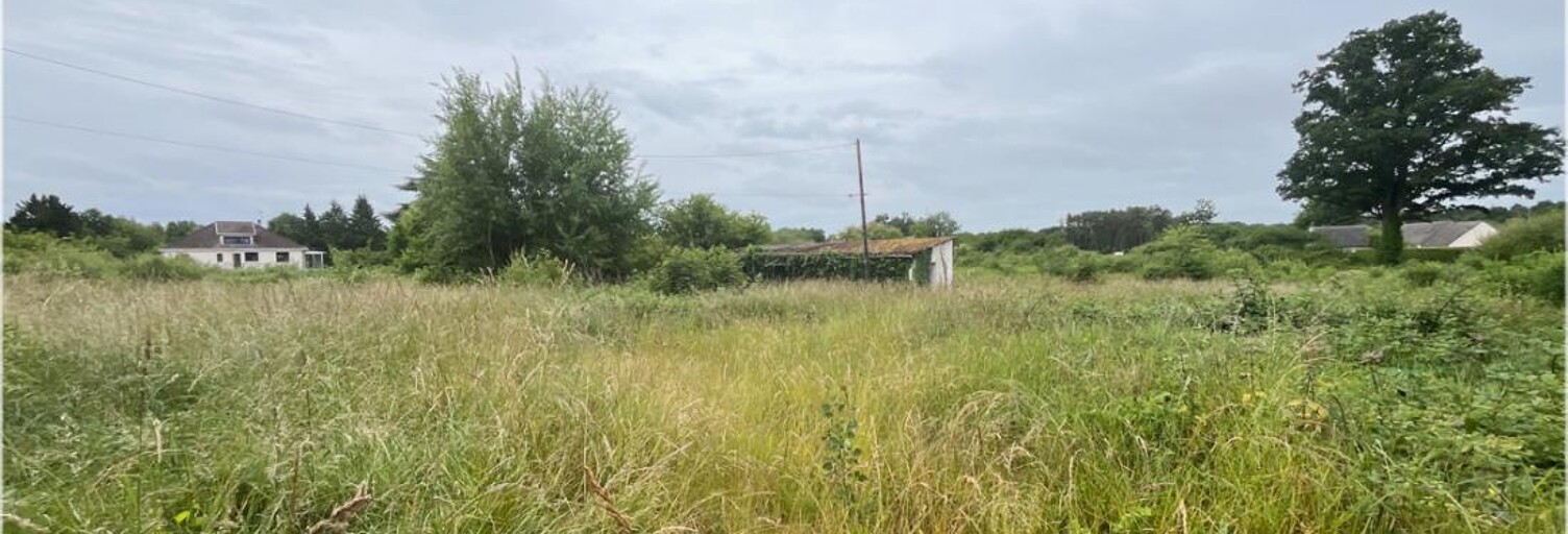 Terrain  15260 m² à vendre à Romorantin-Lanthenay (41200)