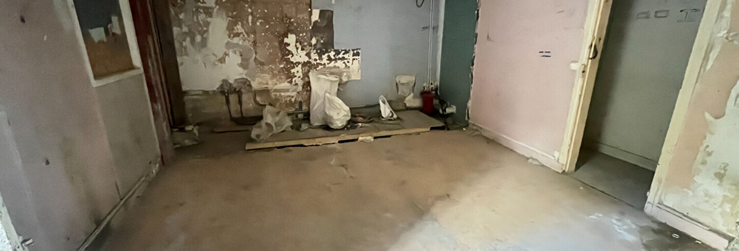 Appartement 3 Pièces 50 m² à vendre à Paris 19 (75019)