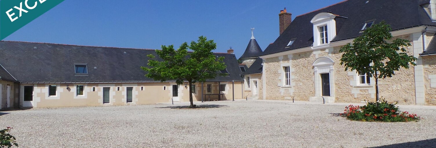 Maison 11 Pièces 346 m² à vendre à Neuillé-Pont-Pierre (37360)