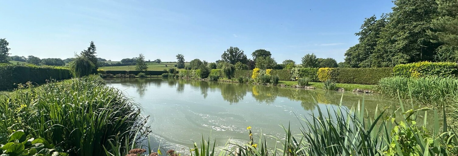 Terrain  9231 m² à vendre à Houry (02140)