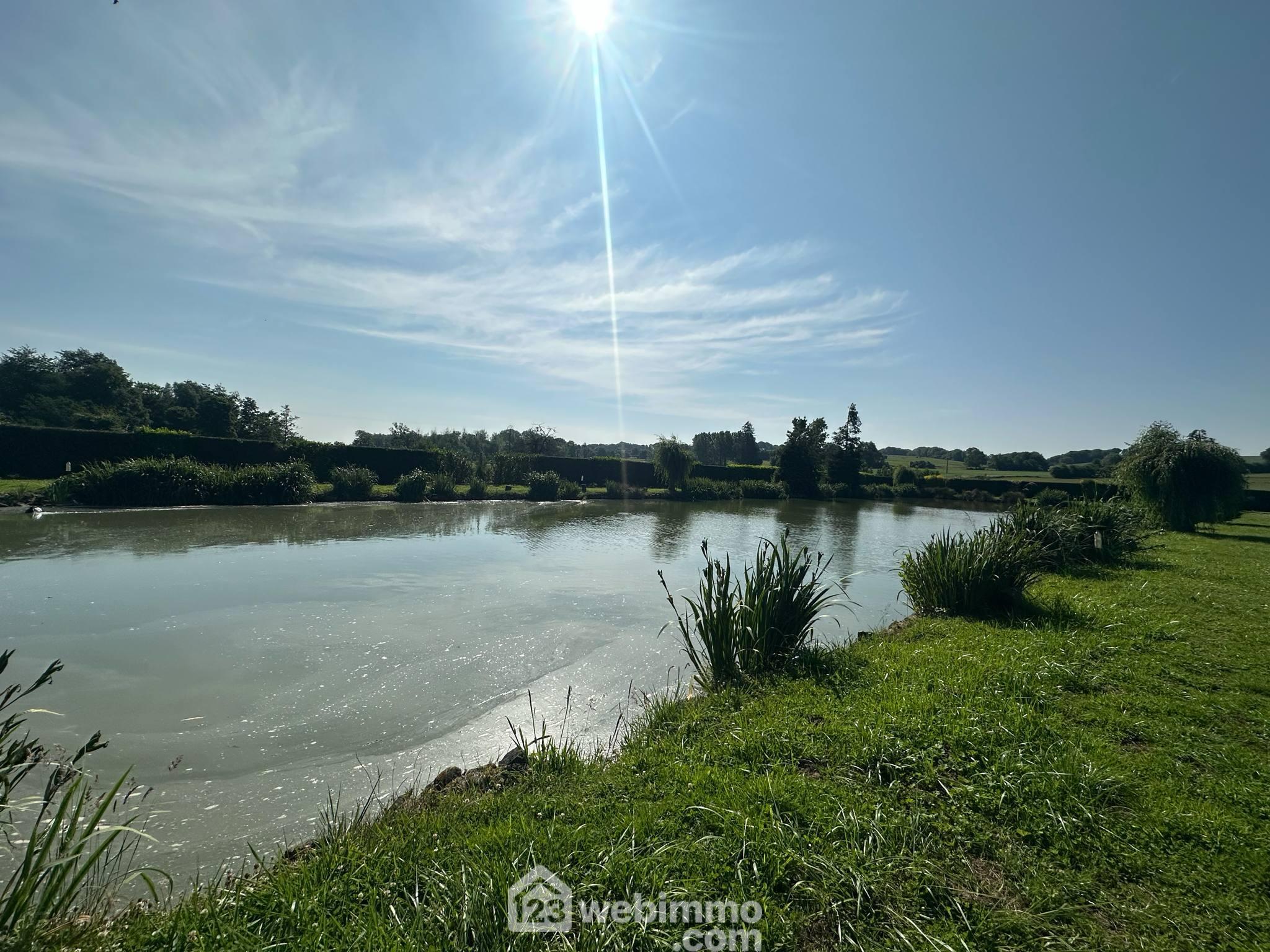 Etang - 9231m² - Houry