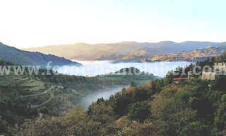 Maison 8 Pièces 445 m² à vendre à Belsentes (07160)