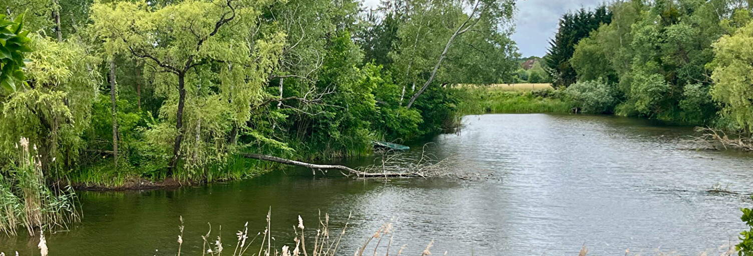 Terrain   m² à vendre à Gurgy (89250)