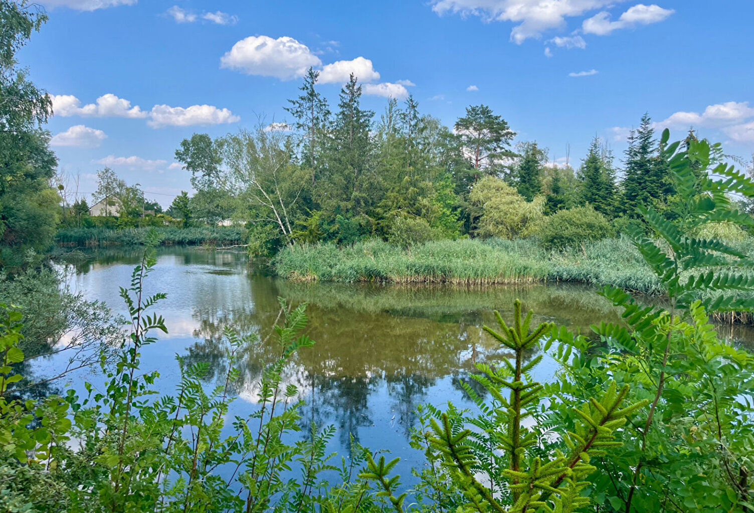 TERRAIN LOISIR AV PLANS EAU — photo 1