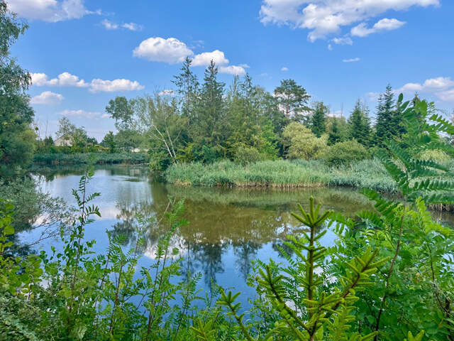 TERRAIN LOISIR AV PLANS EAU — photo du bien