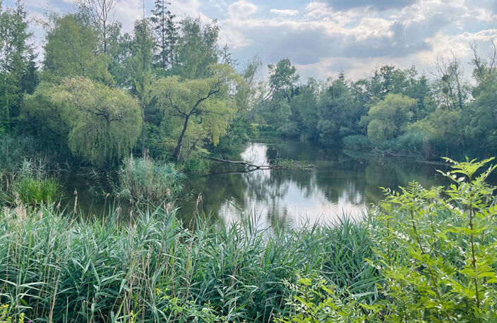 TERRAIN LOISIR AV PLANS EAU — photo 2