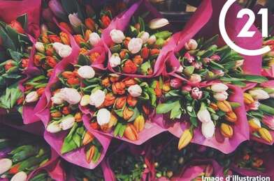 Commerce  110000 €