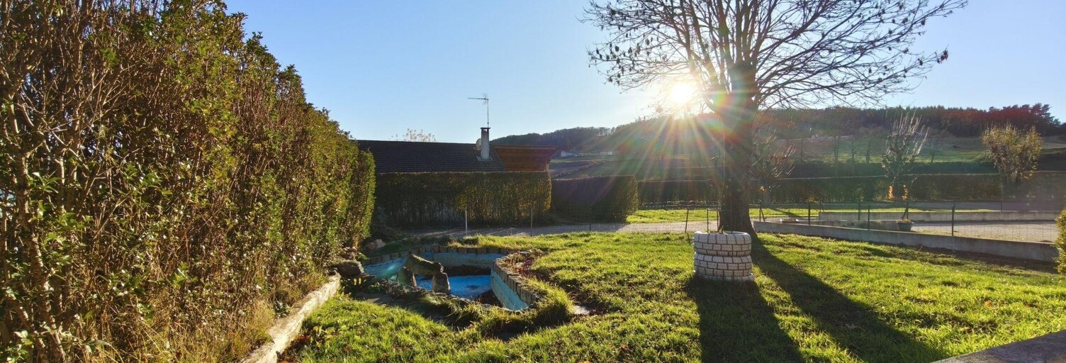 Commerce  420 m² à vendre à Saint-Georges-Lagricol (43500)