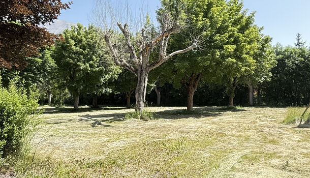 Terrain  à vendre Barcelonnette 04400