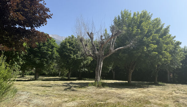 Terrain  à vendre Barcelonnette 04400