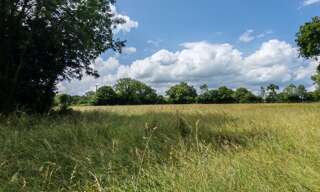 Terrain  31982 m² à vendre à Balleroy-sur-Drôme (14490)