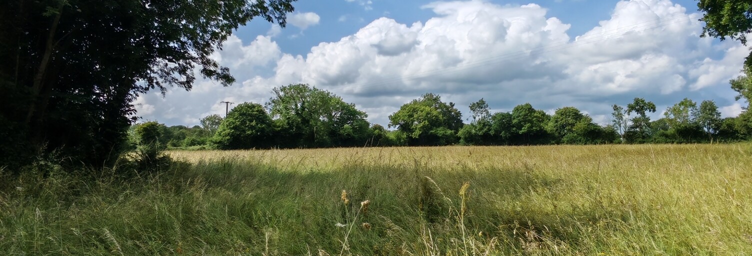 Terrain  31982 m² à vendre à Balleroy-sur-Drôme (14490)