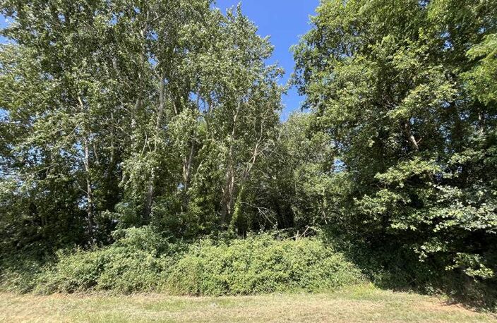 Terrain non constructible de 0 pièces principales — photo 2
