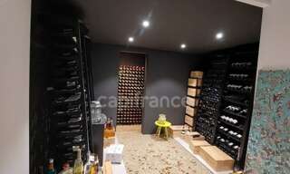 Maison 12 Pièces 400 m² à vendre à Saint-Gély-du-Fesc (34980)