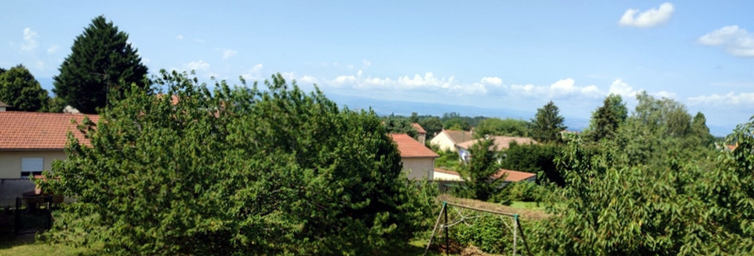 Maison 76 m² en viager Rozier-en-Donzy (42810)