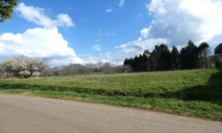 Photo N° 4