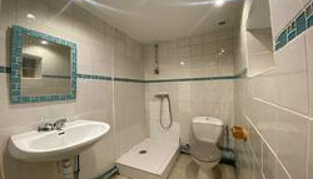 Immeuble  à vendre Saint-Cyprien 66750