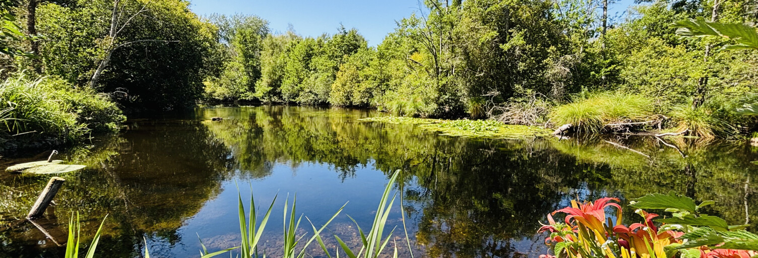 Maison 5 Pièces 107 m² à vendre à Châteaudun (28200)