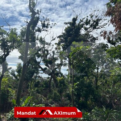 Terrain  154000 €