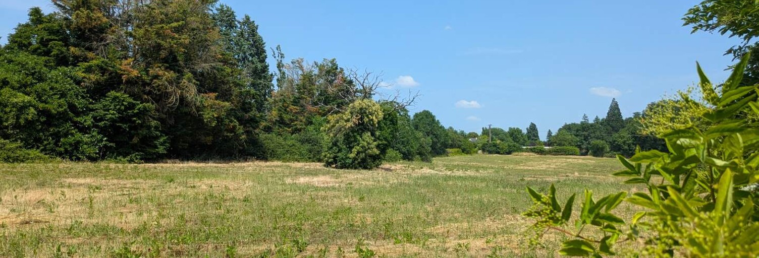 Terrain  1500 m² à vendre à Noyant-de-Touraine (37800)