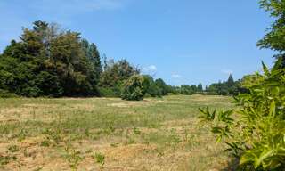 Terrain  1500 m² à vendre à Noyant-de-Touraine (37800)
