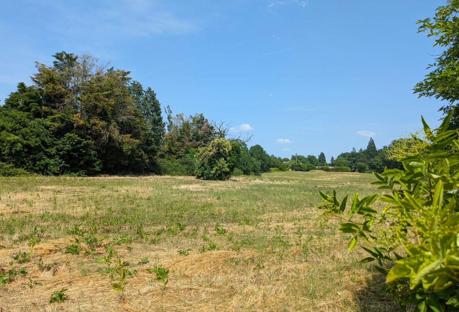 Vente terrain  1500 m² Noyant-de-Touraine (37800) — photo 1