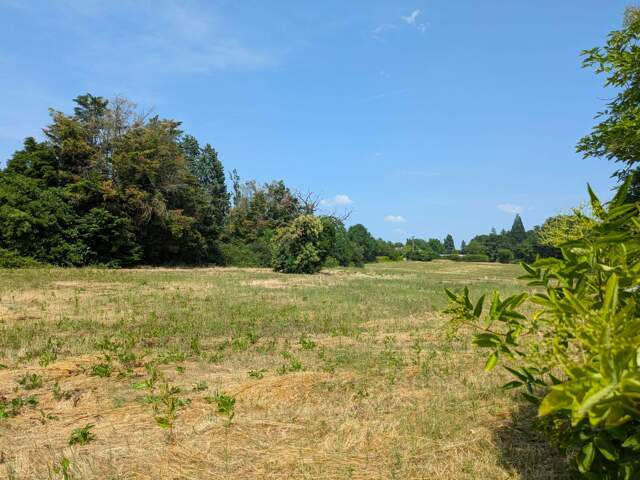 Terrain 1500 m² à Noyant-de-Touraine — photo du bien