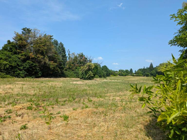 Terrain à construire  1500 m²  — photo 1