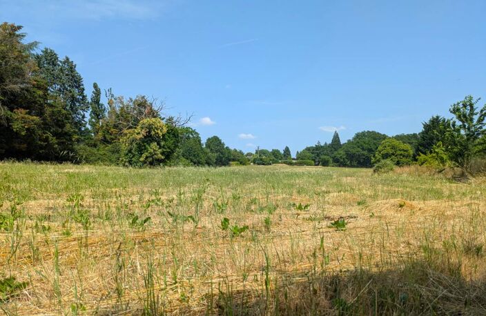 Vente terrain  1500 m² Noyant-de-Touraine (37800) — photo 5