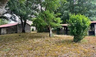 Photo N° 3
