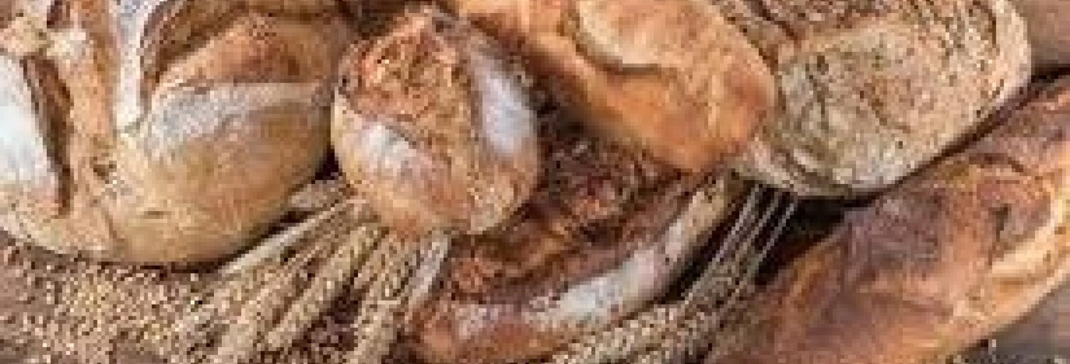 Commerce  287 m² à vendre à La Roche-sur-Yon (85000)