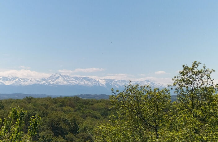 maison de campagne avec piscine, vue sur les Pyrénées , 2ha — photo 3