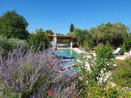A Vendre GARD (30) - Mas avec chambres d'hôtes et piscine — photo 3