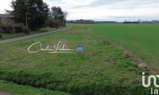 Terrain  2520 m² à vendre à Bazoches-sur-le-Betz (45210)