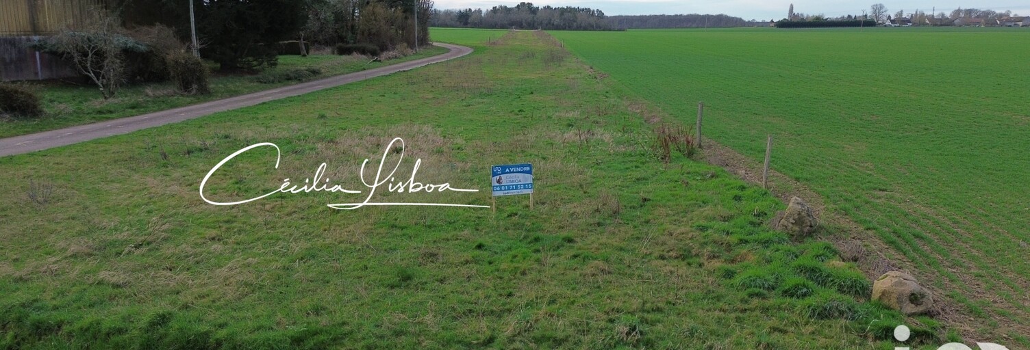 Terrain  2520 m² à vendre à Bazoches-sur-le-Betz (45210)