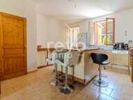 Maison — photo 3