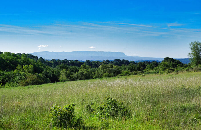 CUCURON, beau Domaine agricole — photo 4