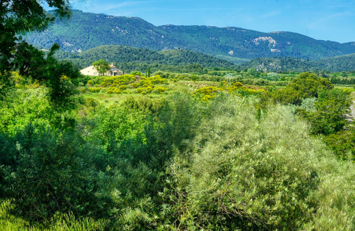 CUCURON, beau Domaine agricole — photo 5