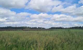 Terrain  2047 m² à vendre à Saint-Jacut-les-Pins (56220)