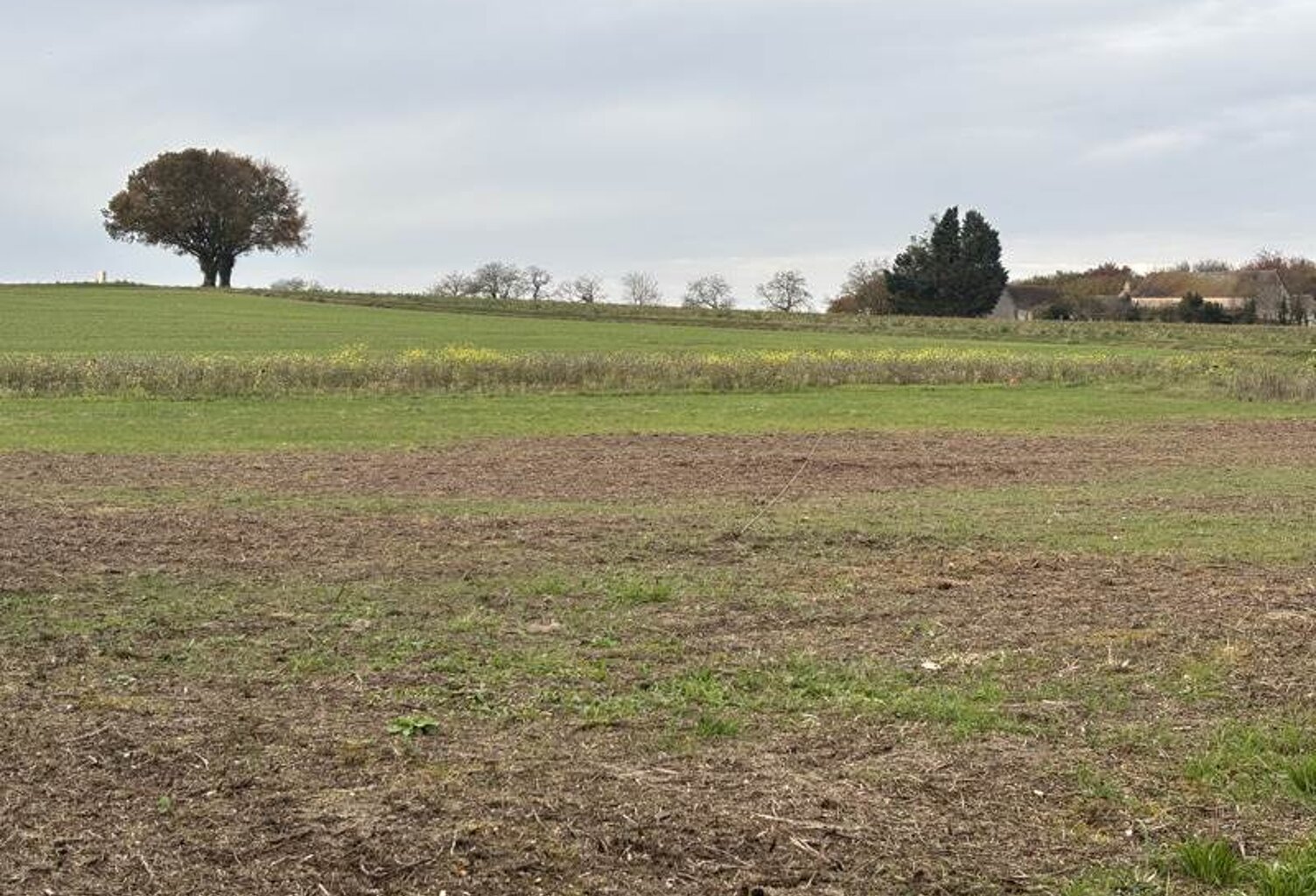 Terrain à bâtir de 0 pièces principales — photo 1