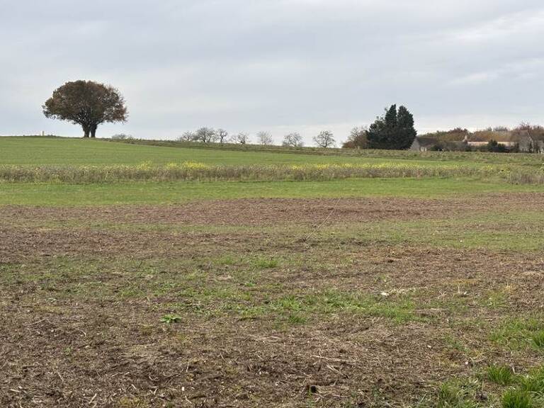 Terrain à bâtir de 0 pièces principales — photo 1