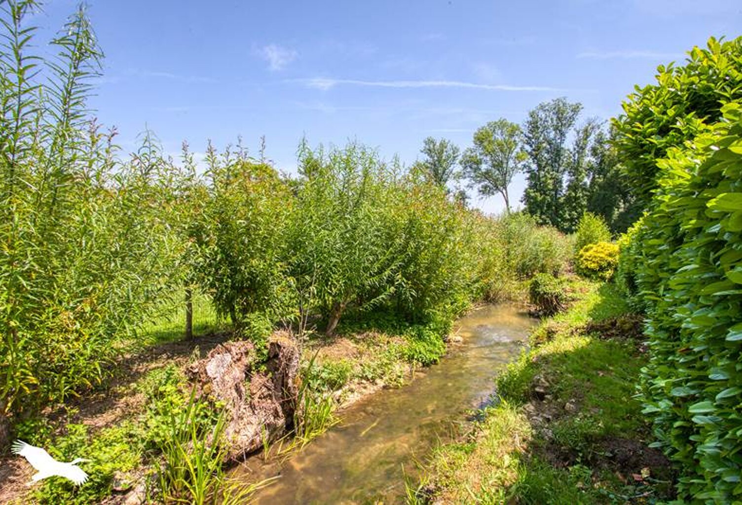 Vente maison 5 pièces 142 m² Auriac-du-Périgord (24290) — photo 1