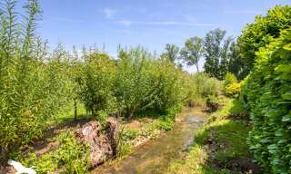 Maison 5 Pièces 142 m² à vendre à Auriac-du-Périgord (24290)