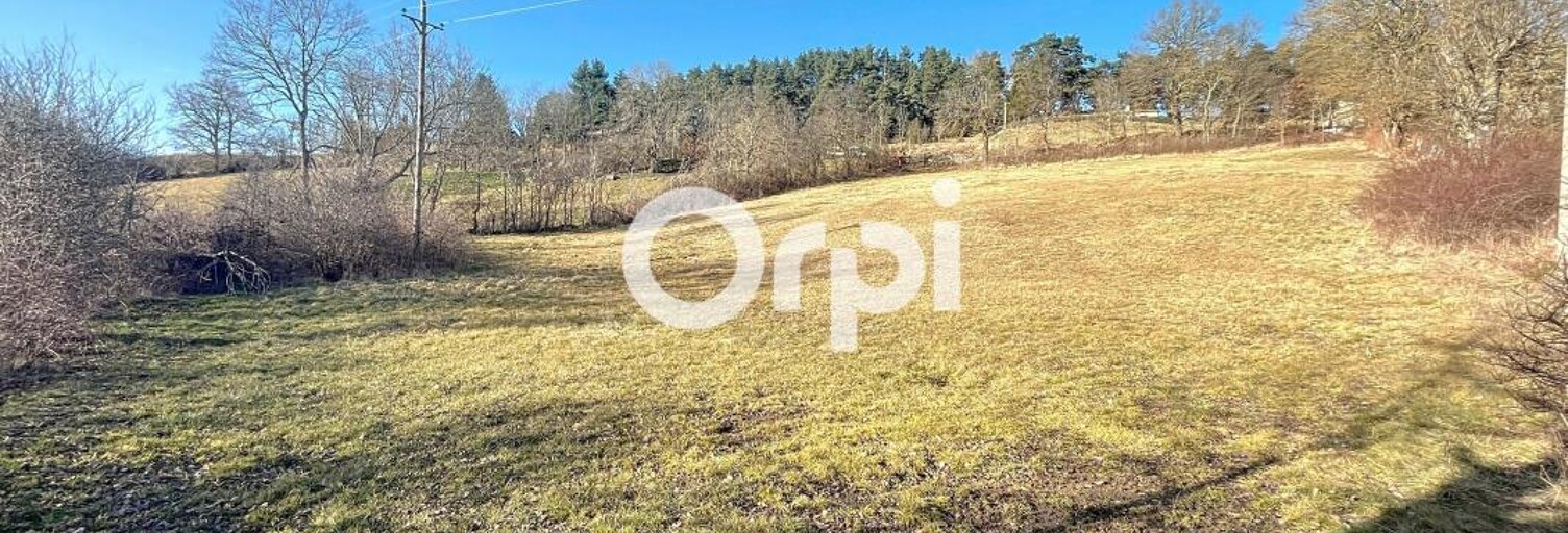 Terrain  4496 m² à vendre à Saint-Flour (15100)